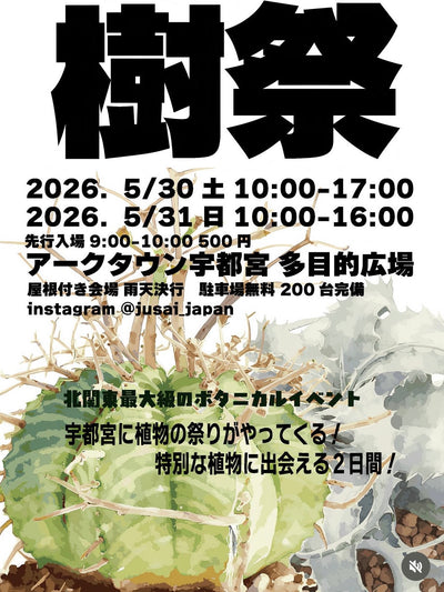 5月30日(土)・31日(日) 【樹祭 宇都宮】へ出店いたします!