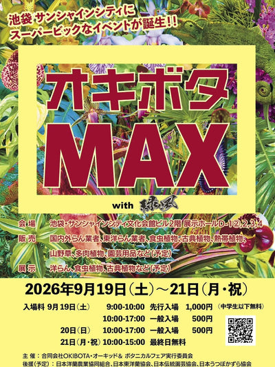 9月19日(日) 東京オキボタMAXへ出店します!