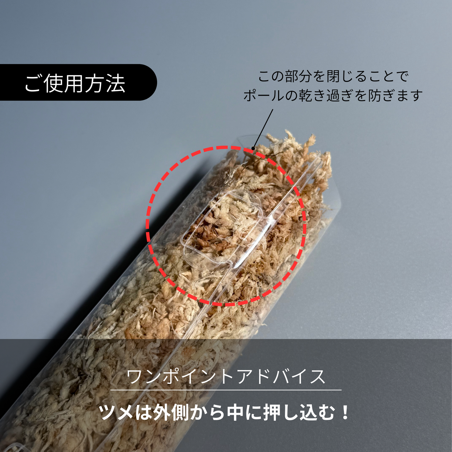 Nakayama ダプポール 2枚Set