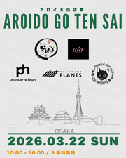 3/22  アロイド伍店祭in大阪 開催！