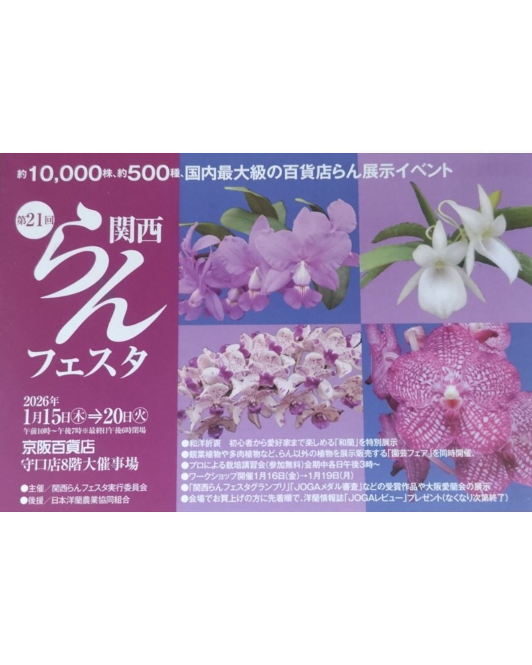 第21回関西らんフェスタへ出店いたします！