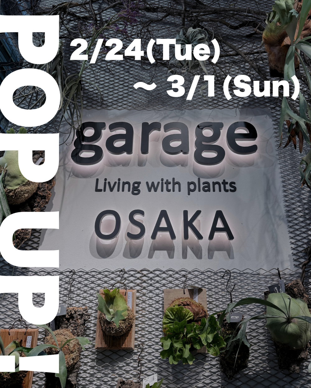 2/24〜3/1 garage OSAKAにてPOP UP開催！