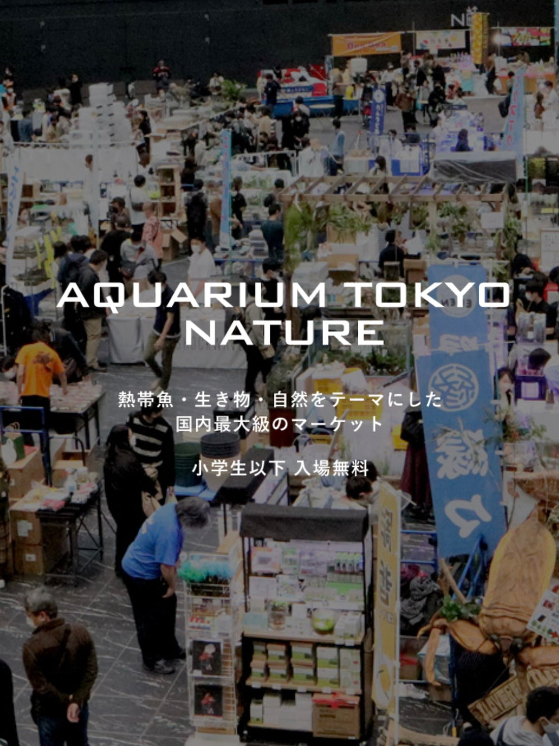 10月18日(土)・19日(日)アクアリウム東京ネイチャー出店します！