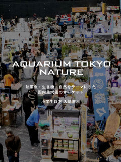 10月18日(土)・19日(日)アクアリウム東京ネイチャー出店します！