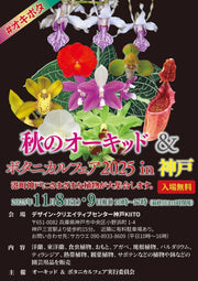 11月8日(土)・9日(日)秋のオーキッド＆ボタニカルフェア2025 in 神戸に初出店します！