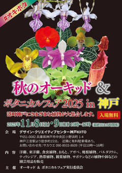 11月8日(土)・9日(日)秋のオーキッド＆ボタニカルフェア2025 in 神戸に初出店します！