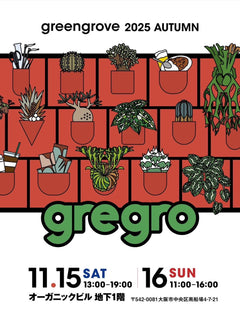 11月15日(土)・11月16日(日) greengrove 2025 AUTUMN出店いたします！