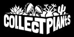 5月9日(土)10日(日) 熊本県開催　【COLLECT PLANTS】へ出店します！