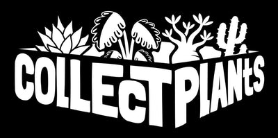 5月9日(土)10日(日) 熊本県開催　【COLLECT PLANTS】へ出店します！