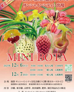 12月6日(土)・7日(日)【MINI BOTA（ミニボタ）】に出店します！