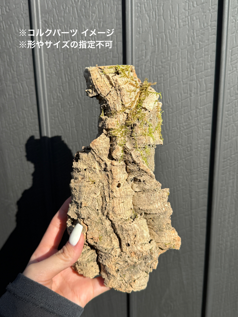 コルクパーツ / Cork parts