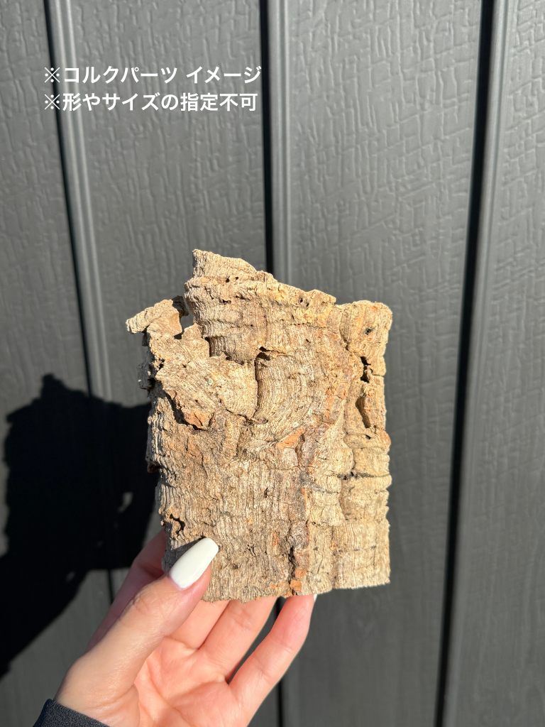 コルクパーツ / Cork parts