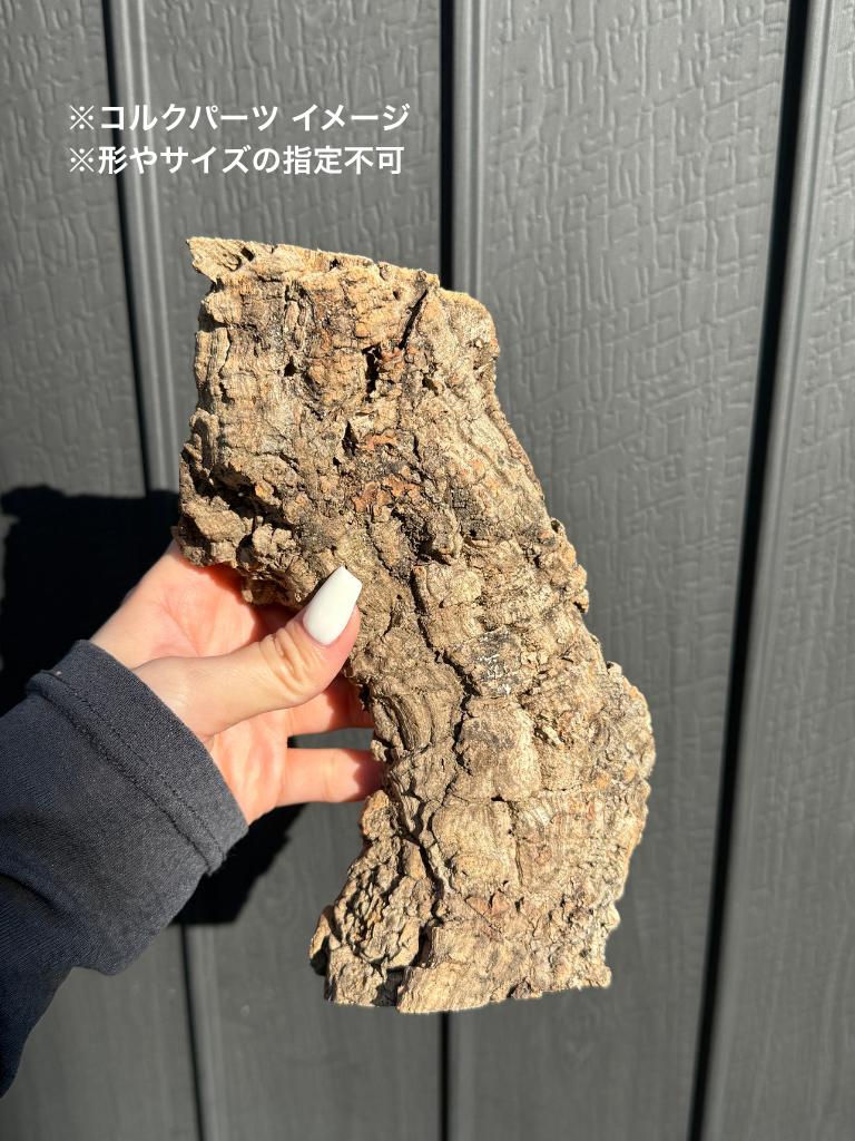 コルクパーツ / Cork parts