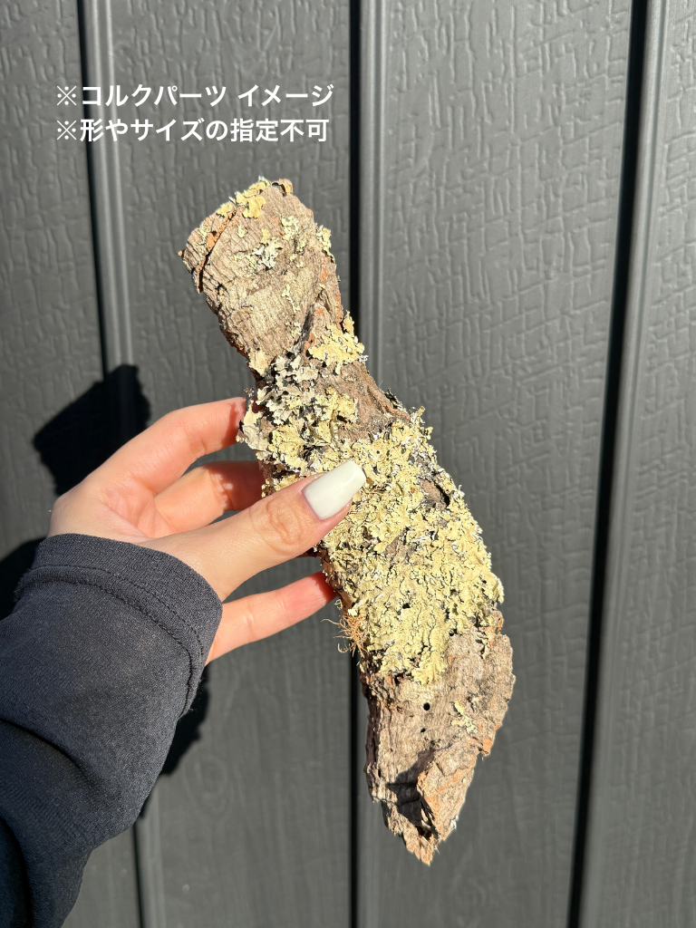 コルクパーツ / Cork parts
