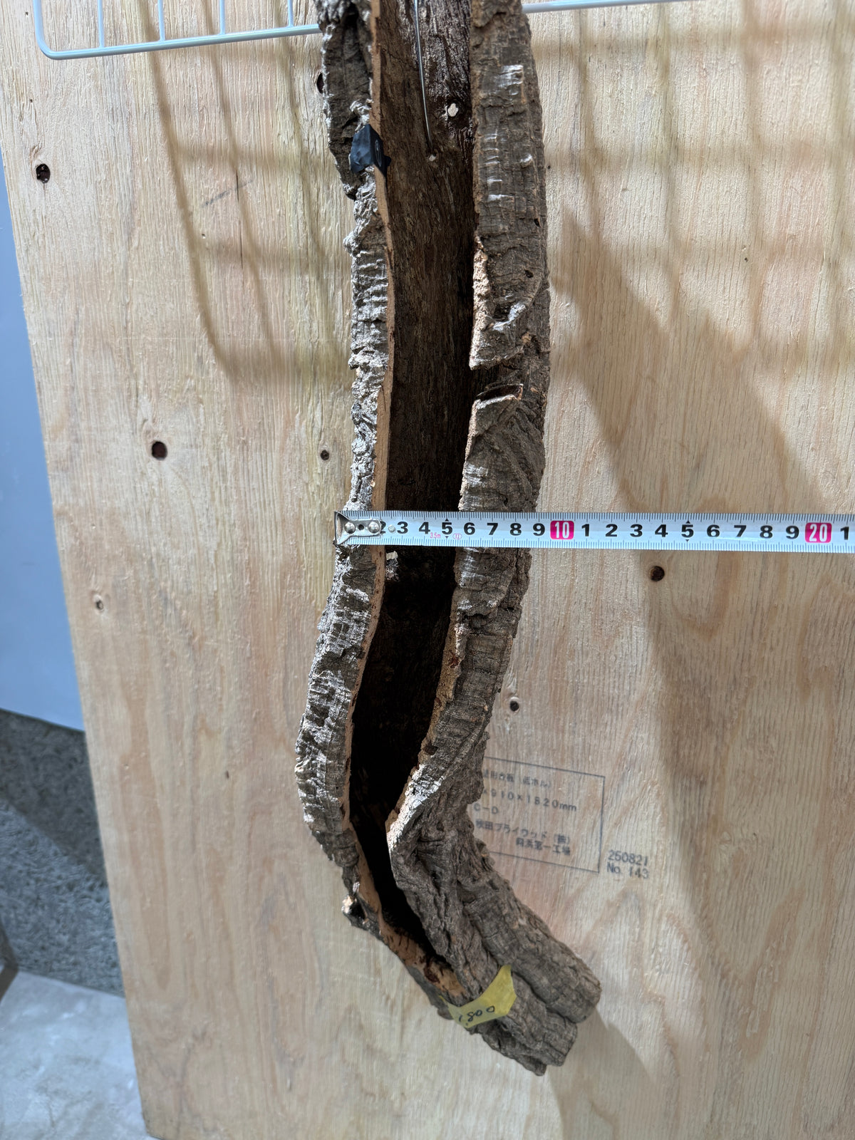ダプコルク 登り / DAPCORK NOBORI (9)